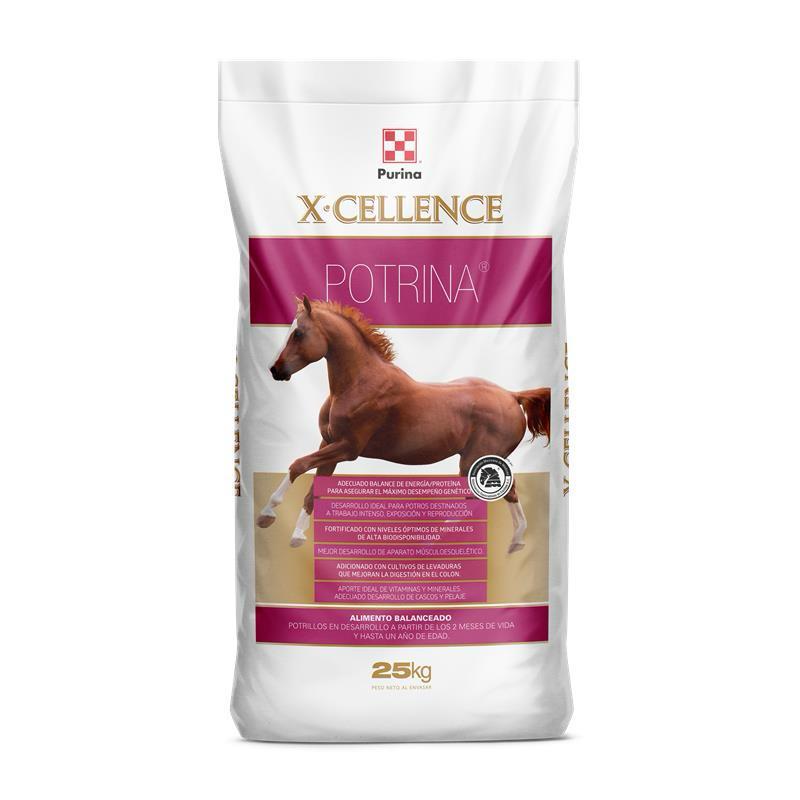 X-cellence