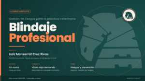 Blindaje Profesional