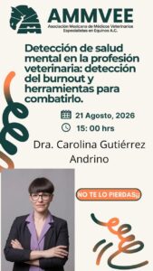 Burnout y herramientas para combatirlo