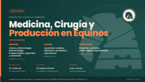 Diplomado en Medicina, Cirugía y Producción en Equinos